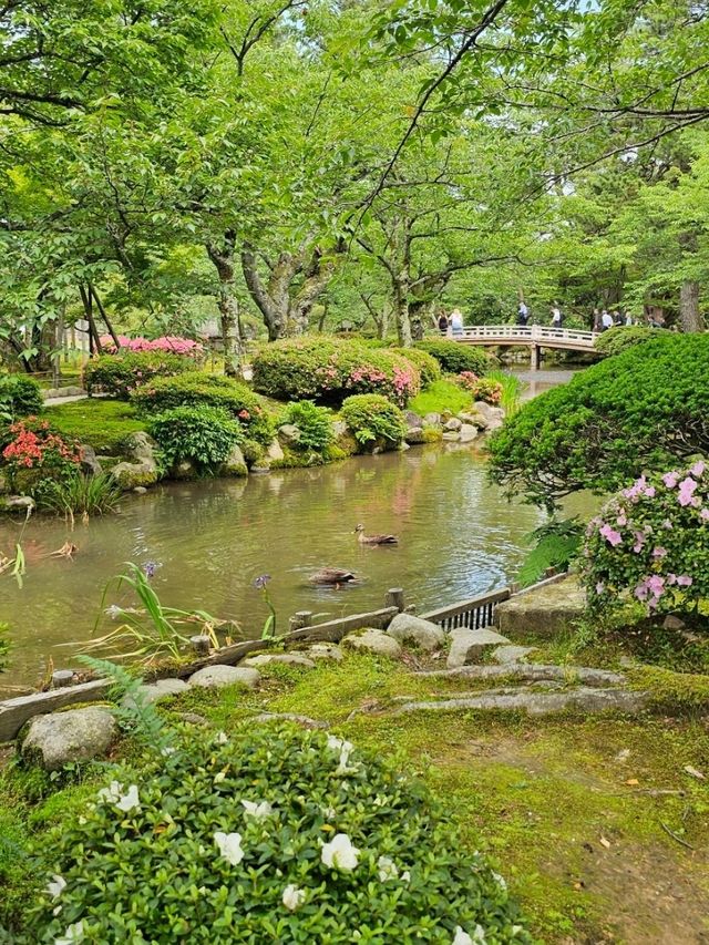 金澤｜兼六園涓流水泉之美
