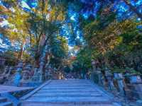 รีวิว Nara Park – เดินชิล, ใบไม้โรแมนติก และผองเพื่