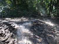 🕳️ A Deep Dive into History: Visiting the Cu Chi Tunnels