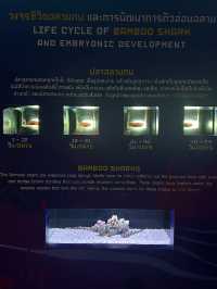 Phuket Aquaria
