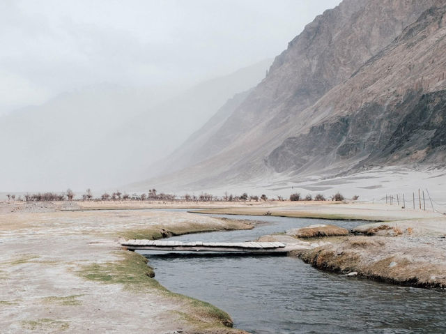 Along the way to PANGONG lake 🚌🌿❄️