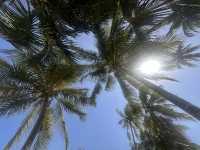【Paradise Beach Bungalows】