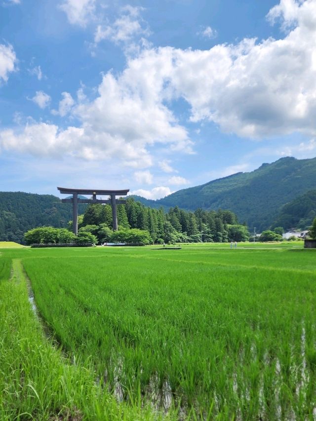 【和歌山グルメ】熊野もうで餅・熊野本宮大社