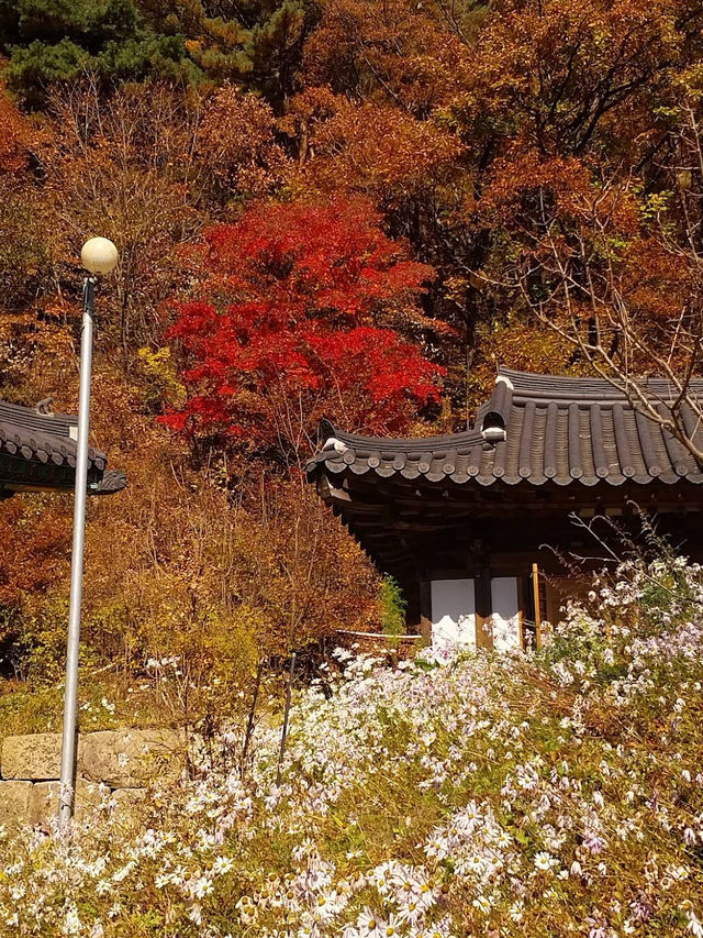 Bukhansanseong