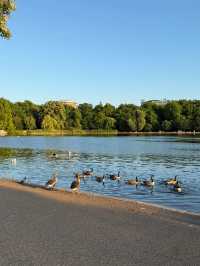 🌳☀️ Hyde Park