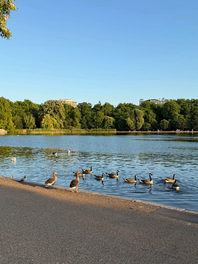 🌳☀️ Hyde Park