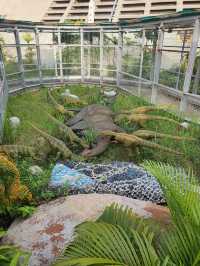 Roar & Explore: Penang’s Ultimate Dino Encounter