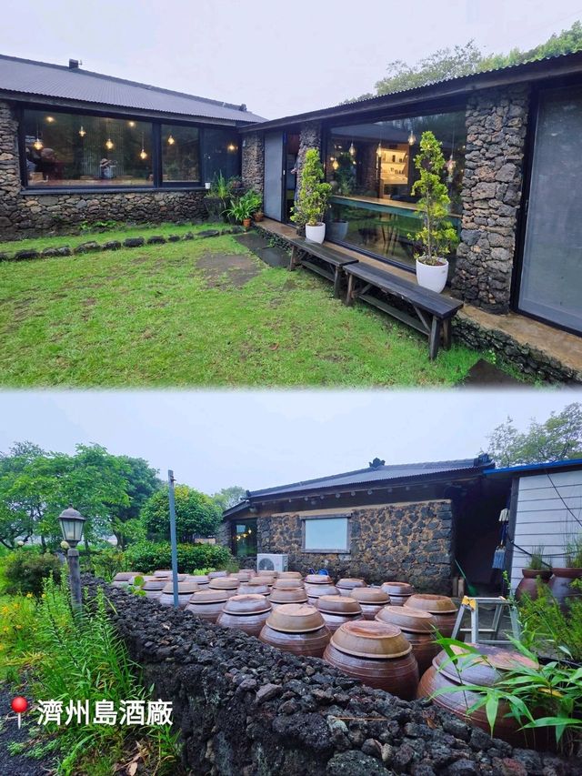 濟州歷史文化觀光巴士一日遊🏞感受韓劇《苦盡柑來遇見你》IU 生活🛖🤿🦪🐙🐚