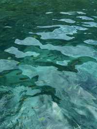 Thailand's Low Season — Worth Going?
