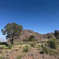 Big Bend National Park