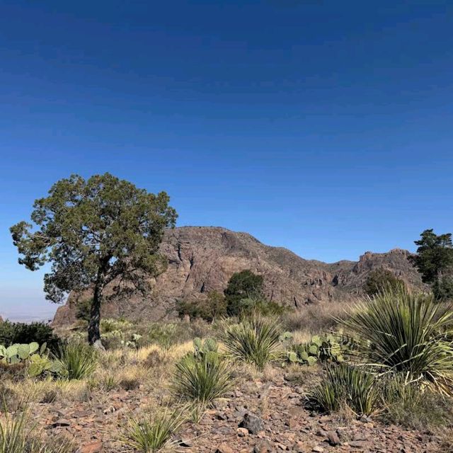 Big Bend National Park