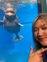 🌊🐬 SeaWorld San Antonio สนุก ครบ จบที่เดียว