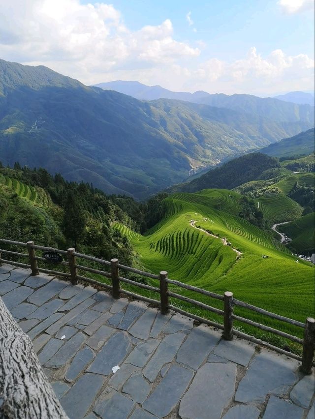 🌾"The Dragon’s Backbone Wonders”