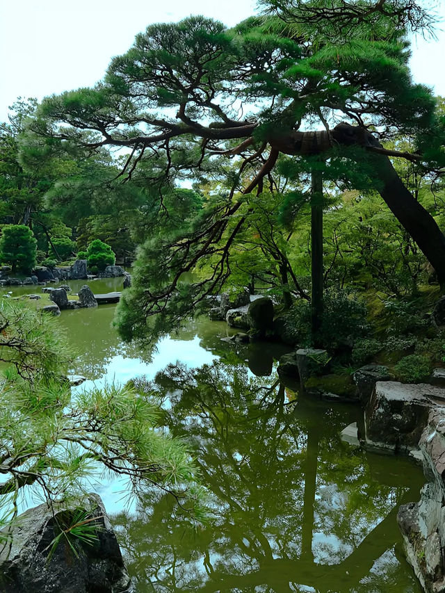 【桂離宮】日本庭園の最高峰へ🌿美と静寂が織りなす“究極の空間”