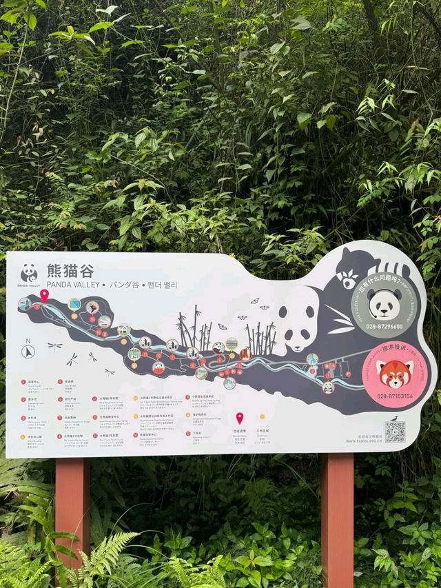 PANDA VALLEY · CHENGDU’S WILDER, WISPIER PANDASANCTUARY