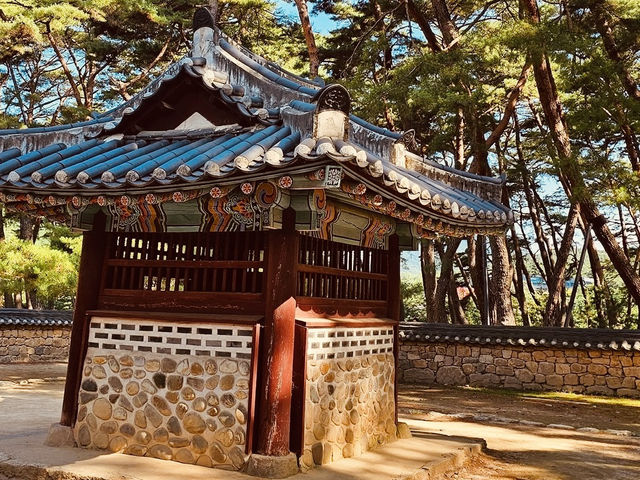 Cheongnyeongpo Cape: Korea’s Secret Jurassic Coast – A Solo Traveler’s Geological Wonderland"** 🏞️🌊