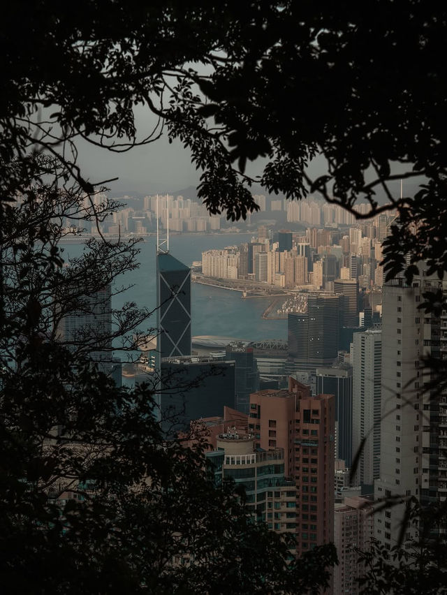 The peak hong kong