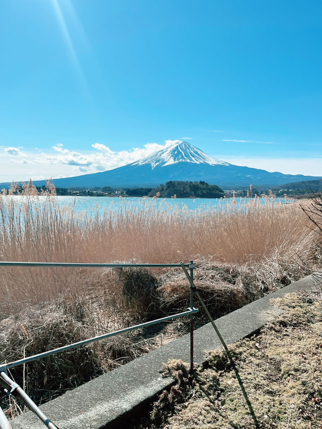 富士山河口湖