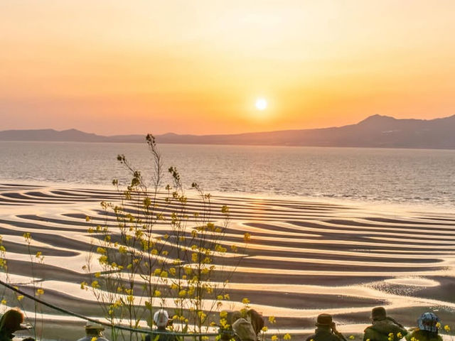 【御輿来海岸】干潟に映る空が絶景すぎる…熊本の隠れた感動スポット🌅