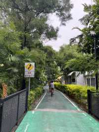 Chatuchak Park สวนจตุจักร