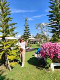 แวะเที่ยว Dome Cafe คาเฟ่สไตล์ยุโรปในนครนายก