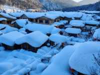Snow Town Fairytale: The Winter Charm of Mushroom Houses