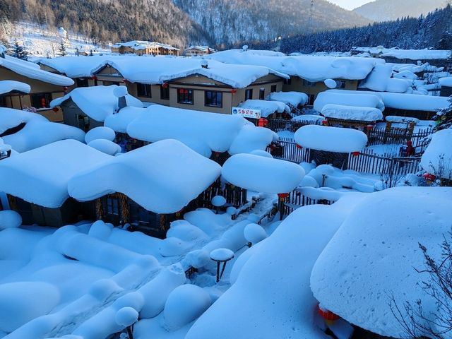 Snow Town Fairytale: The Winter Charm of Mushroom Houses