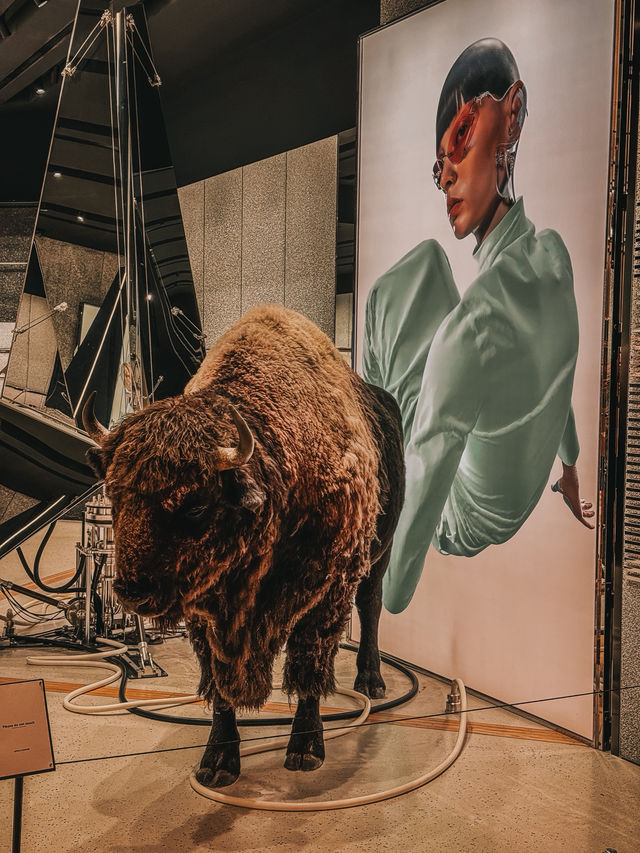 Futuristic Fashion Meets Art – My Visual Feast at Gentle Monster TRX
