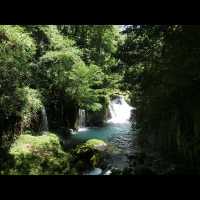 【菊池渓谷】清流と緑に包まれる、熊本の癒しの森🌲💧