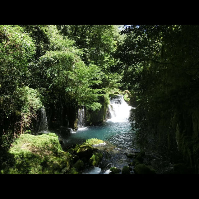 【菊池渓谷】清流と緑に包まれる、熊本の癒しの森🌲💧