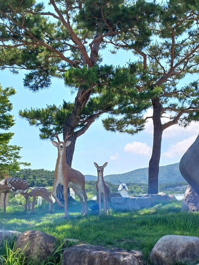 식물만 보긴 아쉬워! 체험도 쏙쏙