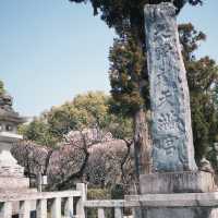 福岡-太宰府天滿宮