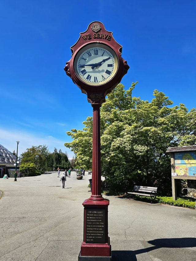🌸 Early Summer Vibes at Queen Elizabeth Park – Vancouver’s Crown Jewel