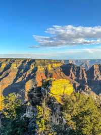 🌄 Grand Canyon North Rim — Nature’s Quiet Masterpiece 