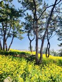 A Secluded Spot for Tranquil Contemplation and Ocean Sounds