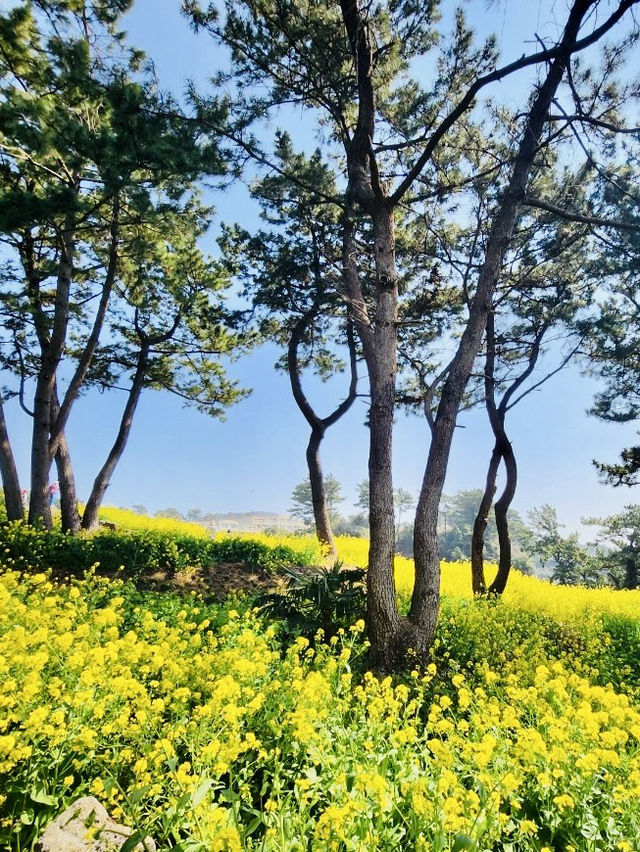 A Secluded Spot for Tranquil Contemplation and Ocean Sounds
