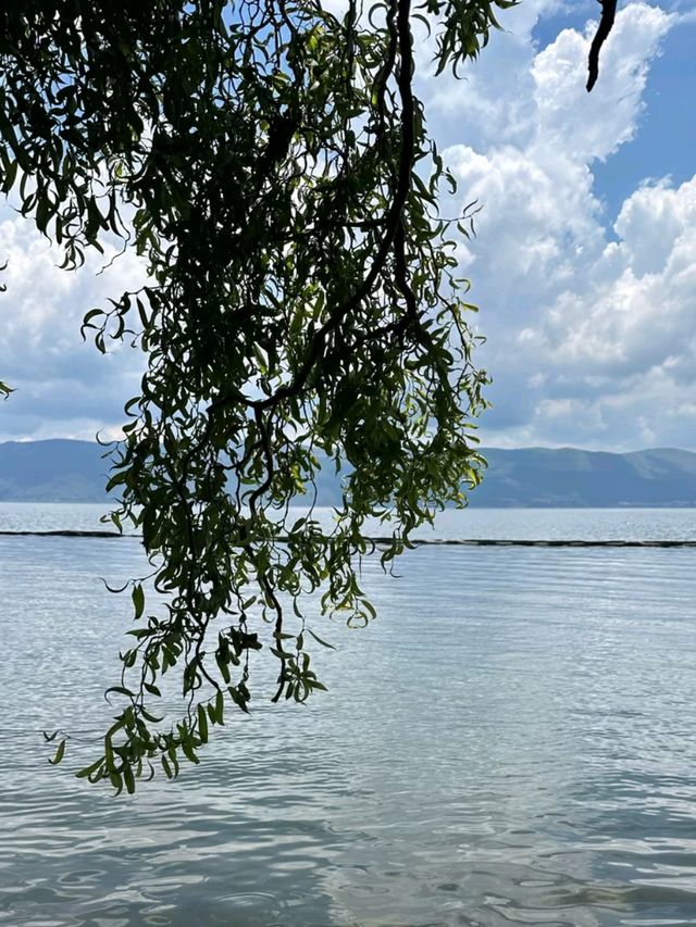 Xizhou Days: A Journey into Yunnan’s Hidden Heritage