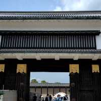 【京都🇯🇵】入った瞬間タイムスリップ🕰二条城