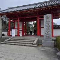 【香川旅】歴史と絶景が交差する屋島寺で、心に残る静かな時間を