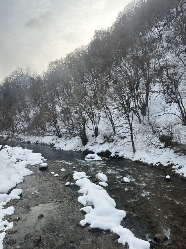 ❄️ 一個車窗望出去的冬日童話｜秋田內陸線  
