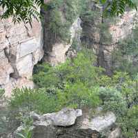 Floating Peaks of Zhangjiajie: Nature’s Avatar