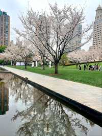 Tulip Trails & Artistic Tales : JingAn Sculpture park