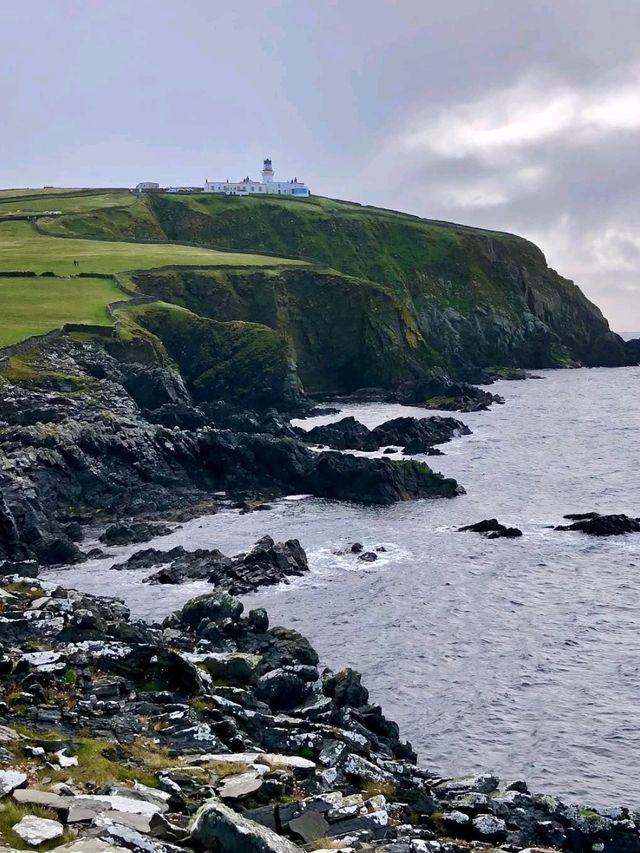 Clifftop Views and Puffin Spotting at Sumburgh Head