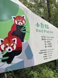 Panda Valley Dujiangyan