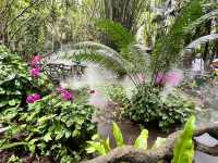 🌿 Yanoda — Hainan’s Tropical Rainforest Wonderland