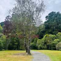 Kaitoke Regional Park – Upper Hutt, Wellington Region
