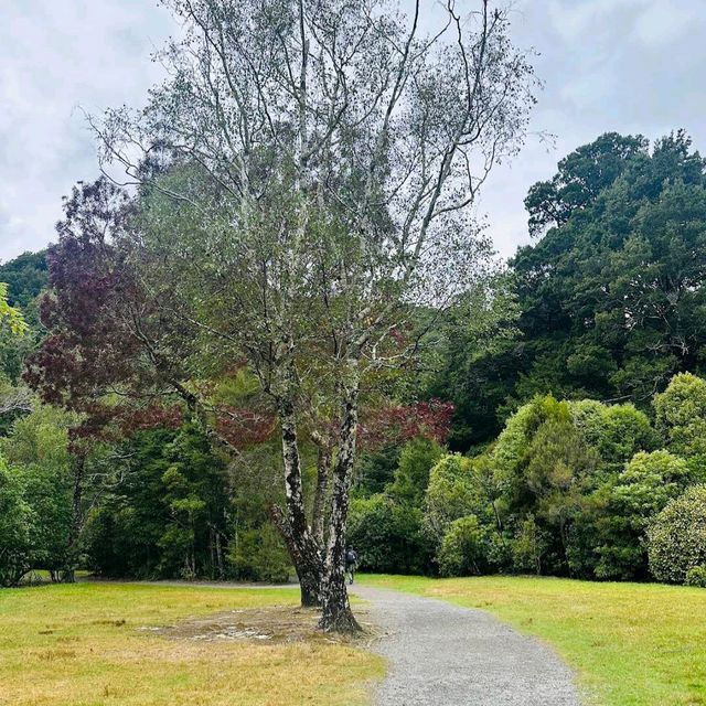 Kaitoke Regional Park – Upper Hutt, Wellington Region