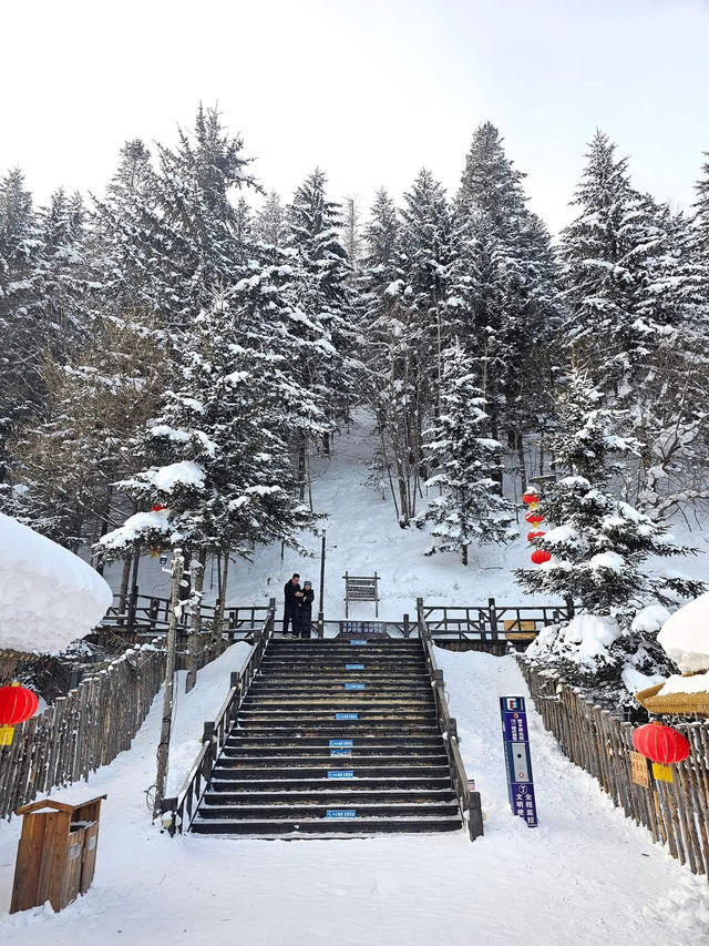 หมู่บ้านหิมะ "雪乡" ที่เฮยหลงเจียง (China Snow Town  หมู่บ้านหิมะ "雪乡" ที่เฮยหลงเจียง (China Snow Town