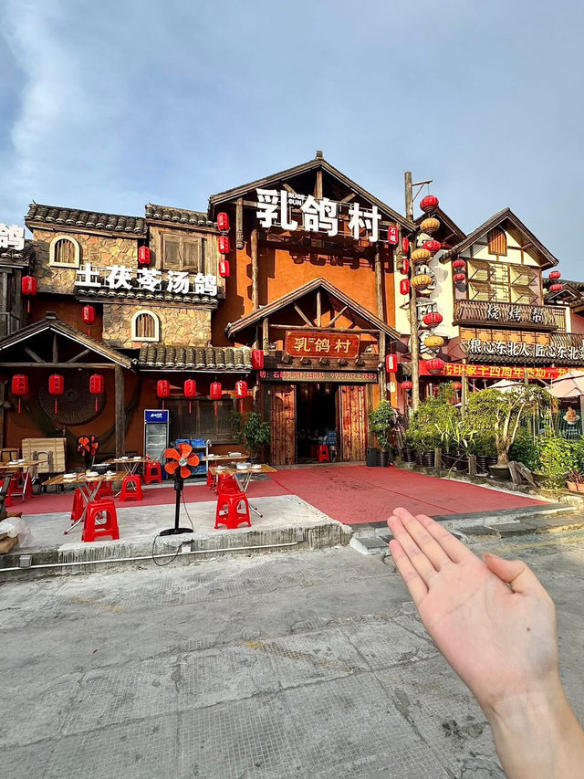 中山🇨🇳 為了吃鴿,建了一個村?? 中山🇨🇳 為了吃鴿,建了一個村??