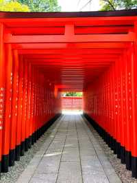 A Timeless Treasure at Inuyama Castle